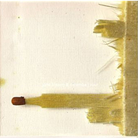 VUUR - CD
